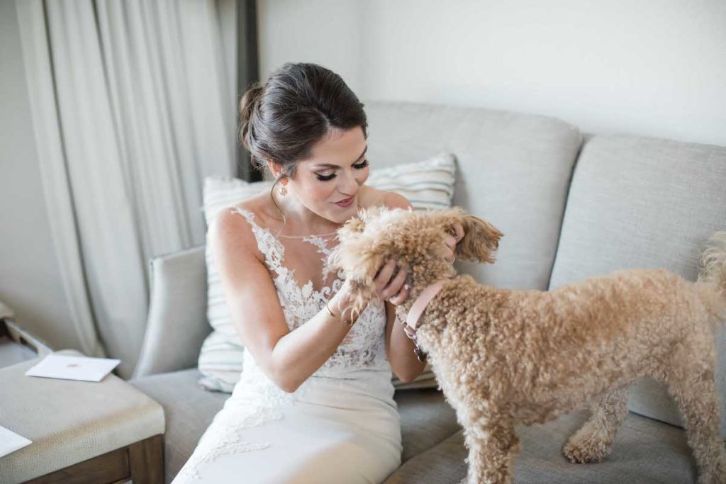 Bride petting her dog